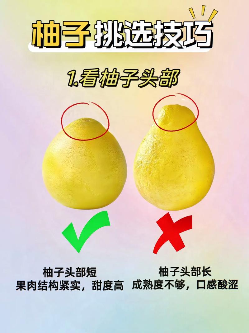 柚子的养殖方法，柚子的养殖方法和注意事项有哪些