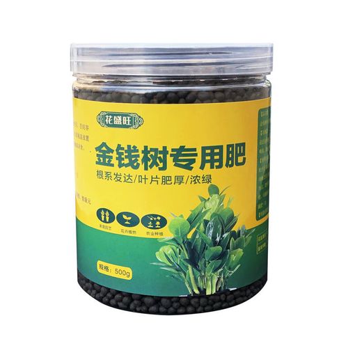 金钱树施什么肥好，金钱树该施什么肥-第4张图片-优品飞百科