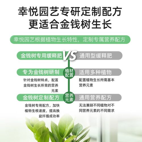 金钱树施什么肥好，金钱树该施什么肥-第6张图片-优品飞百科