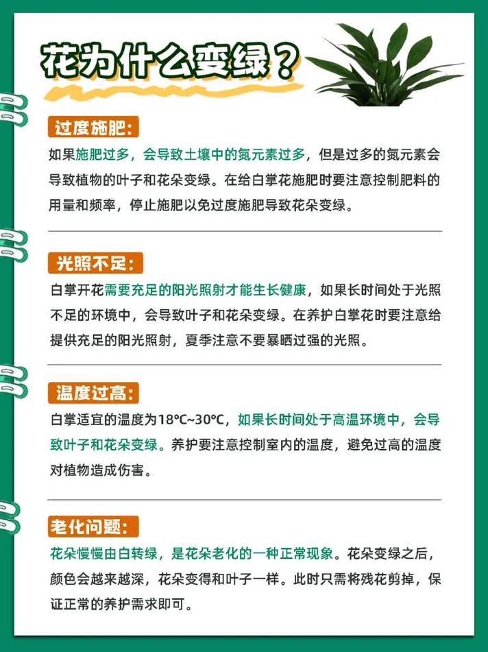 一帆风顺的繁殖方法，一帆风顺的繁殖方法是什么?-第2张图片-优品飞百科