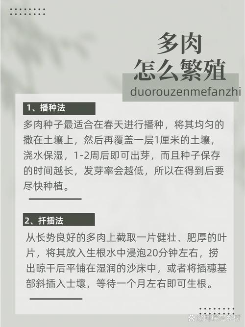 一帆风顺的繁殖方法，一帆风顺的繁殖方法是什么?-第3张图片-优品飞百科