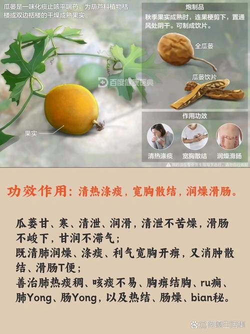 葫芦怎么才能结果多，葫芦怎样才能结的多