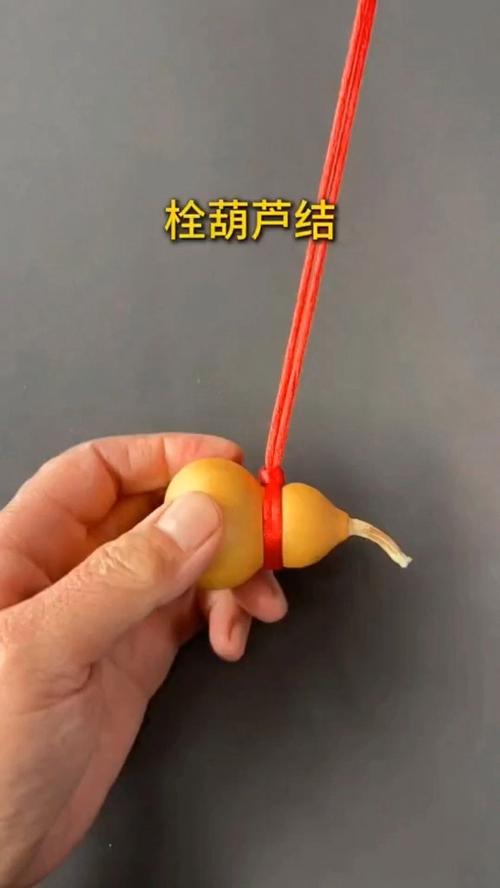 葫芦怎么才能结果多，葫芦怎样才能结的多-第4张图片-优品飞百科