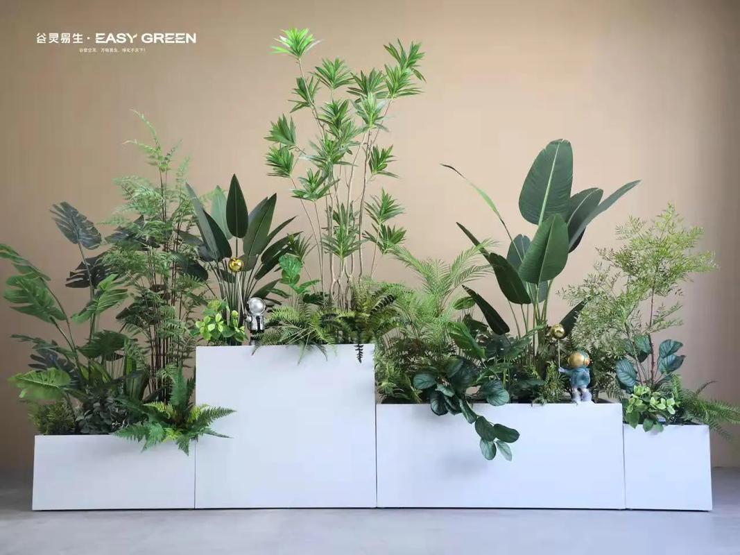 如何使冬红在圣诞开花，怎样让冬红果开花？