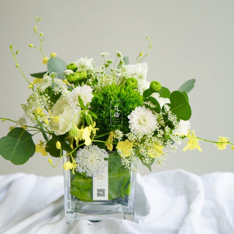 如何使冬红在圣诞开花,怎样让冬红果开花?-第5张图片-优品飞百科 如何使冬红在圣诞开花,怎样让冬红果开花?-第5张图片-优品飞百科