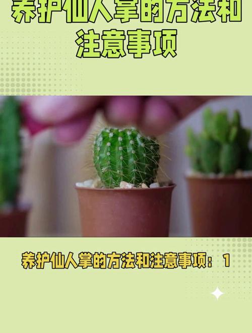 仙人掌如何浇水，仙人掌如何浇水不烂根-第3张图片-优品飞百科