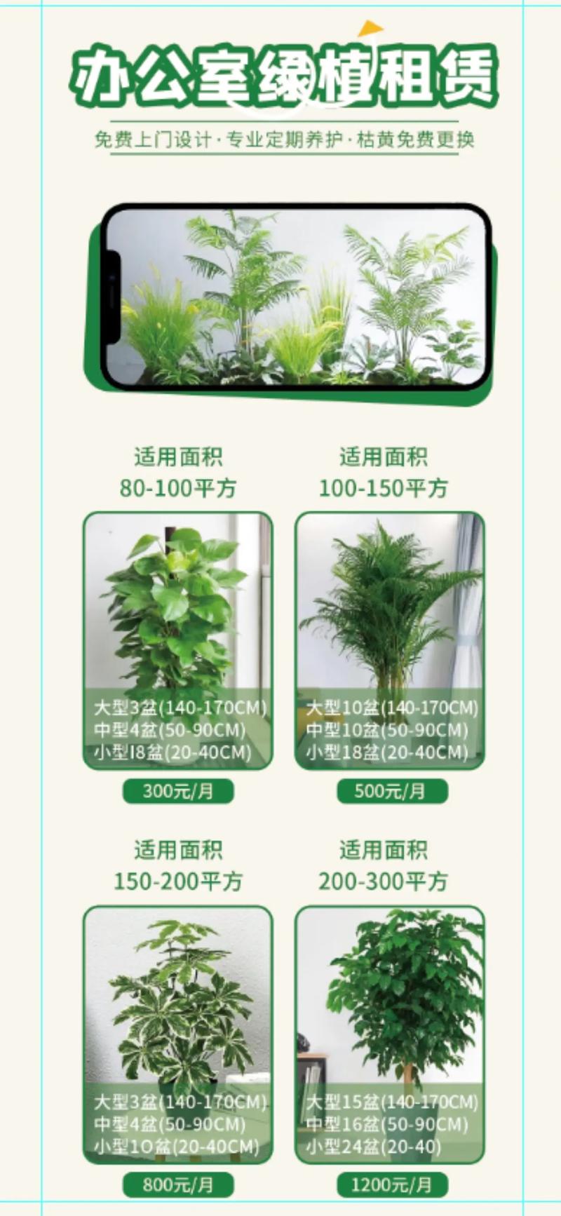 绿植夏天能施肥吗？绿植夏天能施肥吗？