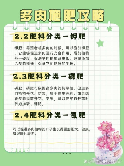 绿植夏天能施肥吗?绿植夏天能施肥吗?-第5张图片-优品飞百科 绿植夏天能施肥吗?绿植夏天能施肥吗?-第5张图片-优品飞百科