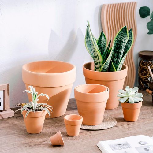 买的花盆又贵又难看,花盆怎么那么贵-第5张图片-优品飞百科 买的花盆又贵又难看,花盆怎么那么贵-第5张图片-优品飞百科