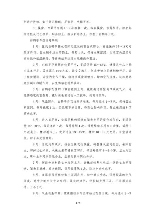 白鹤芋怎么繁殖?白鹤芋怎么繁殖多盆?-第5张图片-优品飞百科 白鹤芋怎么繁殖?白鹤芋怎么繁殖多盆?-第5张图片-优品飞百科