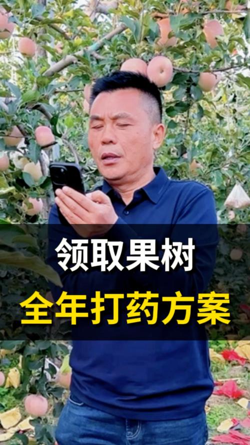果树打药时间?果树打药时间比较好什么时候??-第3张图片-优品飞百科 果树打药时间?果树打药时间比较好什么时候??-第3张图片-优品飞百科
