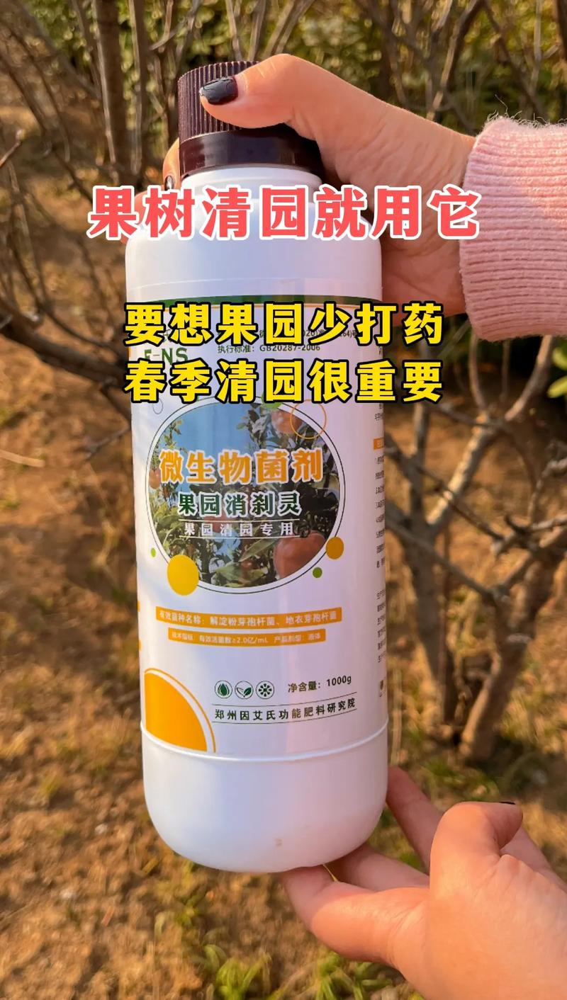 果树打药时间?果树打药时间比较好什么时候??-第6张图片-优品飞百科 果树打药时间?果树打药时间比较好什么时候??-第6张图片-优品飞百科