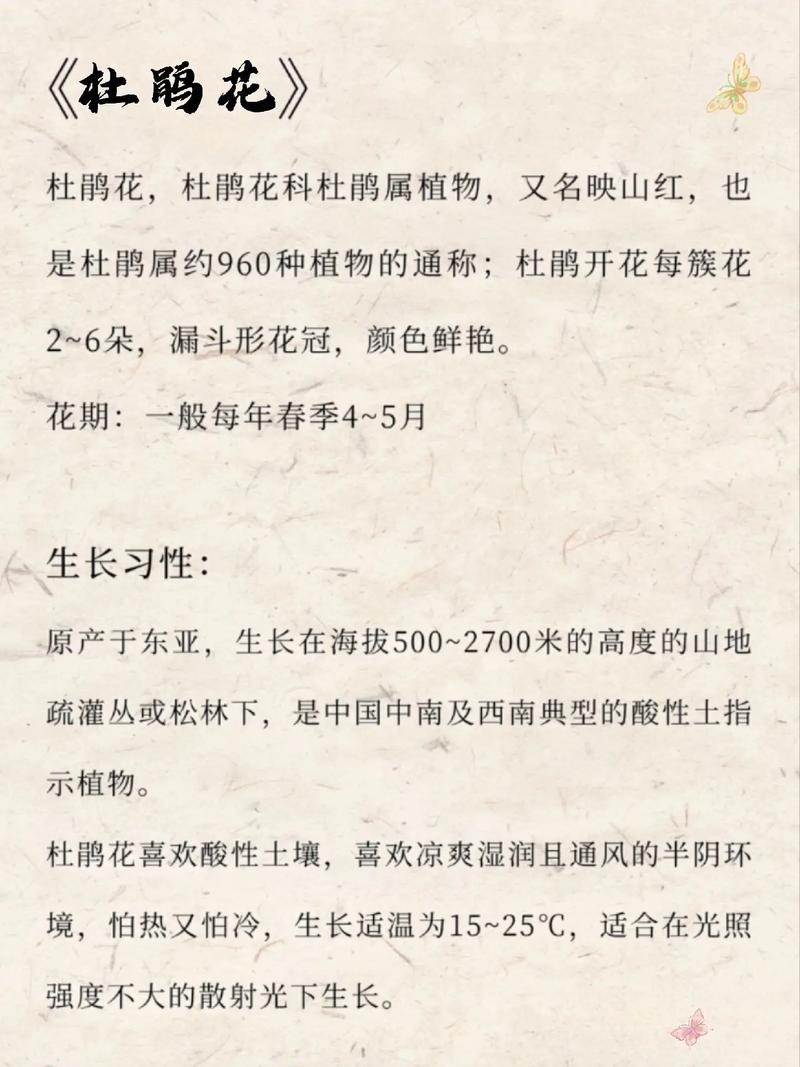 怎么样让杜鹃花勤开花，怎样让杜鹃花开满盆？-第4张图片-优品飞百科
