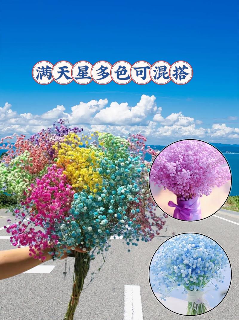 刚买回来的满天星几天后可以浇水，新种的满天星多久浇一次水-第2张图片-优品飞百科