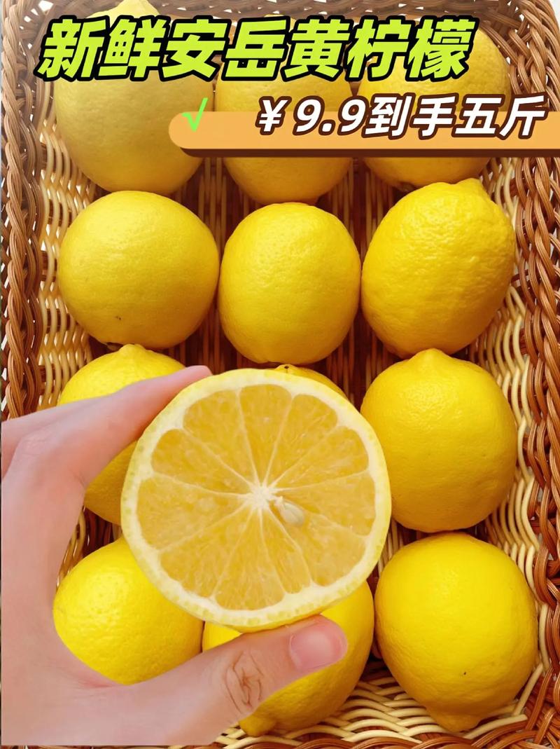 柠檬什么季节成熟？柠檬季节是几月份？-第4张图片-优品飞百科
