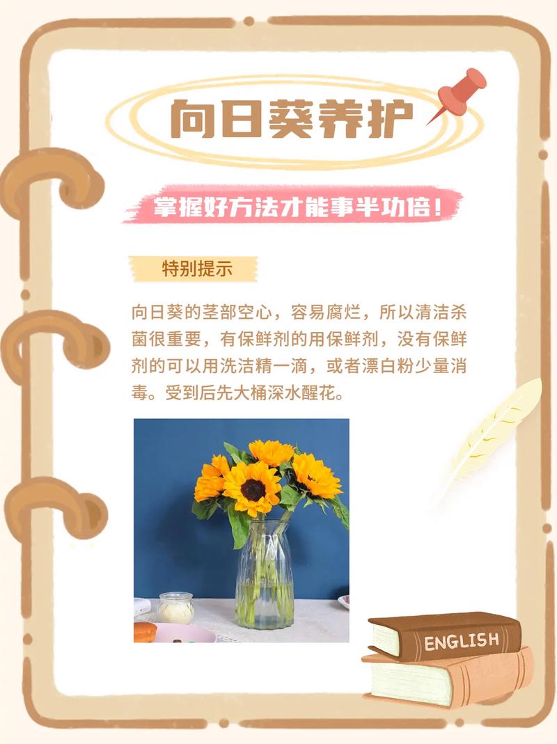 向日葵怎么养,冬天向日葵怎么养?-第3张图片-优品飞百科 向日葵怎么养,冬天向日葵怎么养?-第3张图片-优品飞百科