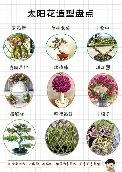 向日葵怎么养,冬天向日葵怎么养?-第6张图片-优品飞百科 向日葵怎么养,冬天向日葵怎么养?-第6张图片-优品飞百科