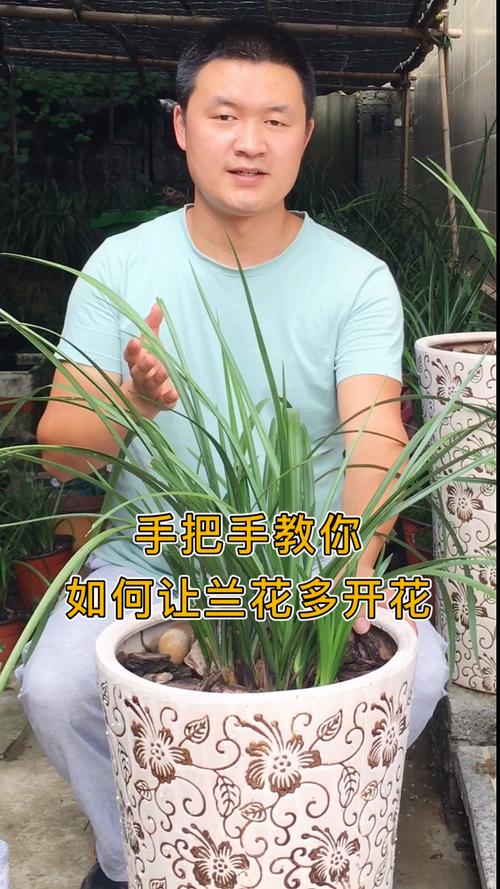兰花怎么养开花多，兰花怎么养开花多一点-第6张图片-优品飞百科