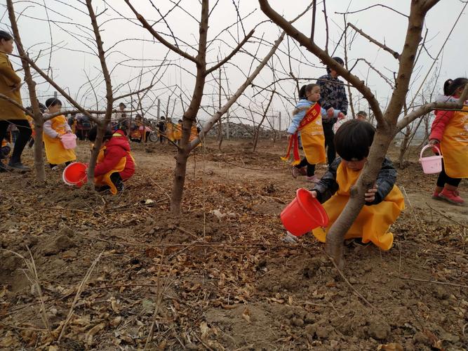 桃树浇水的最佳时间,桃树何时浇水和施肥?-第4张图片-优品飞百科 桃树浇水的最佳时间,桃树何时浇水和施肥?-第4张图片-优品飞百科