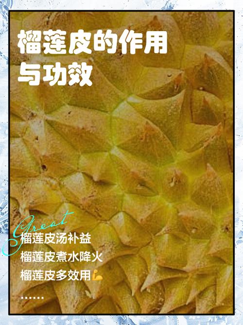 给花吃点榴莲皮？榴莲的皮能做花的肥料吗？