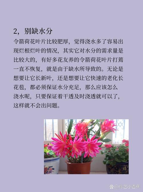 令箭荷花怎么施肥，令箭荷花需要什么肥料？-第4张图片-优品飞百科