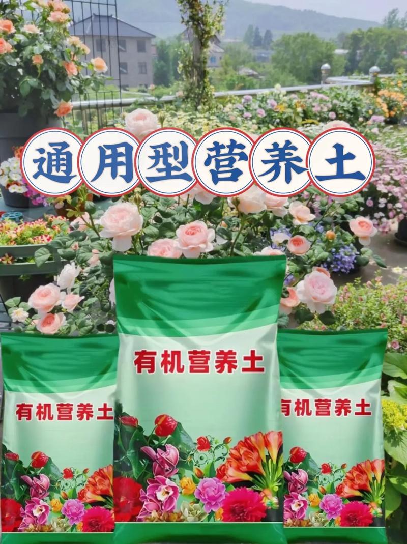 你还在买“花肥”养花？买养花的花肥？
