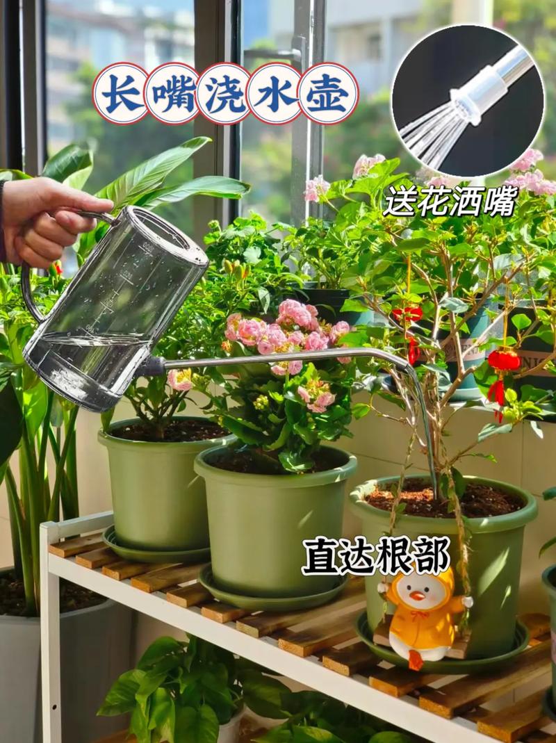 你还在买“花肥”养花？买养花的花肥？-第3张图片-优品飞百科