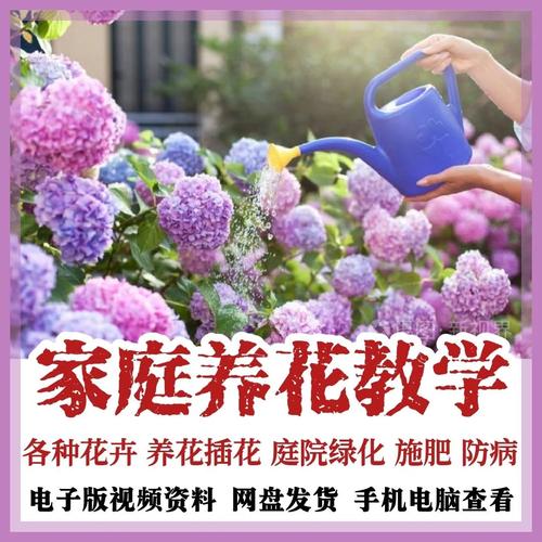 你还在买“花肥”养花？买养花的花肥？-第4张图片-优品飞百科