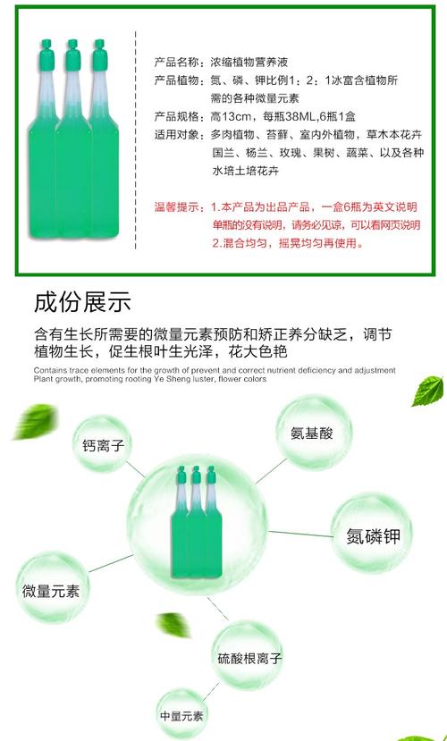水培文竹自制营养液方法？文竹水培视频教程？-第6张图片-优品飞百科