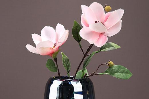 玉兰怎么换盆？玉兰花换盆注意事项？-第2张图片-优品飞百科