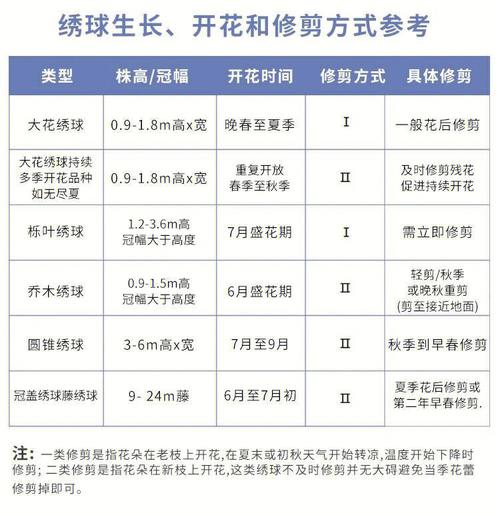 绣球花的修剪方法,绣球花的修剪方法图解?-第3张图片-优品飞百科 绣球花的修剪方法,绣球花的修剪方法图解?-第3张图片-优品飞百科