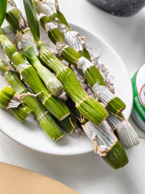 石斛扦插前要晾干吗，石斛扦插前要晾干吗？-第2张图片-优品飞百科