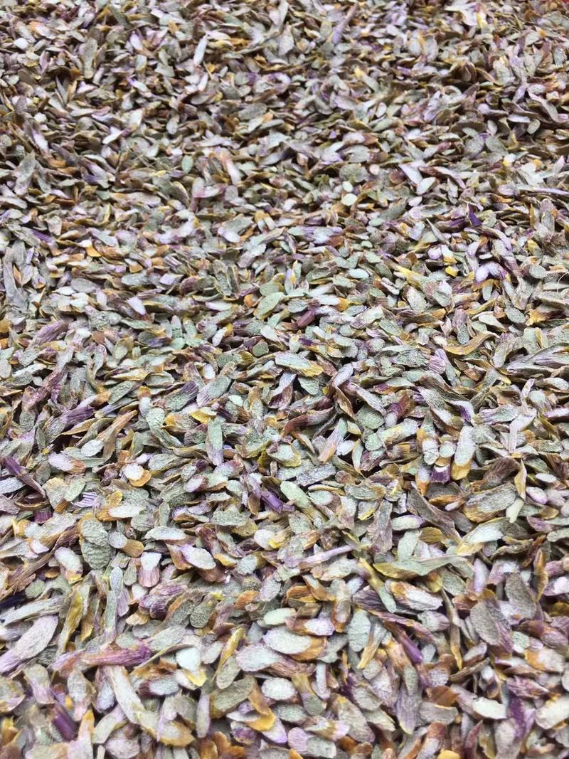 石斛扦插前要晾干吗，石斛扦插前要晾干吗？-第4张图片-优品飞百科