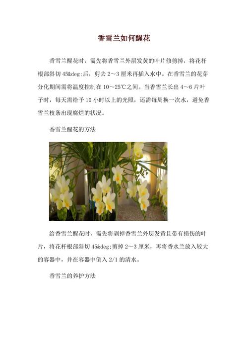 香雪兰怎么矮化，香雪兰矮化素不能随便用？-第4张图片-优品飞百科