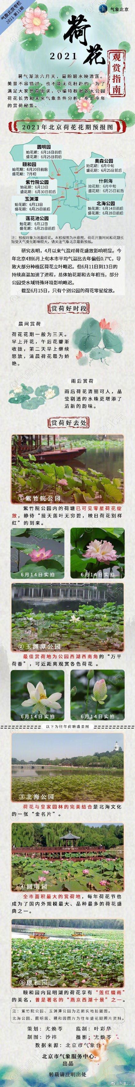 荷花花期怎么养护，荷花花朵怎么养-第3张图片-优品飞百科