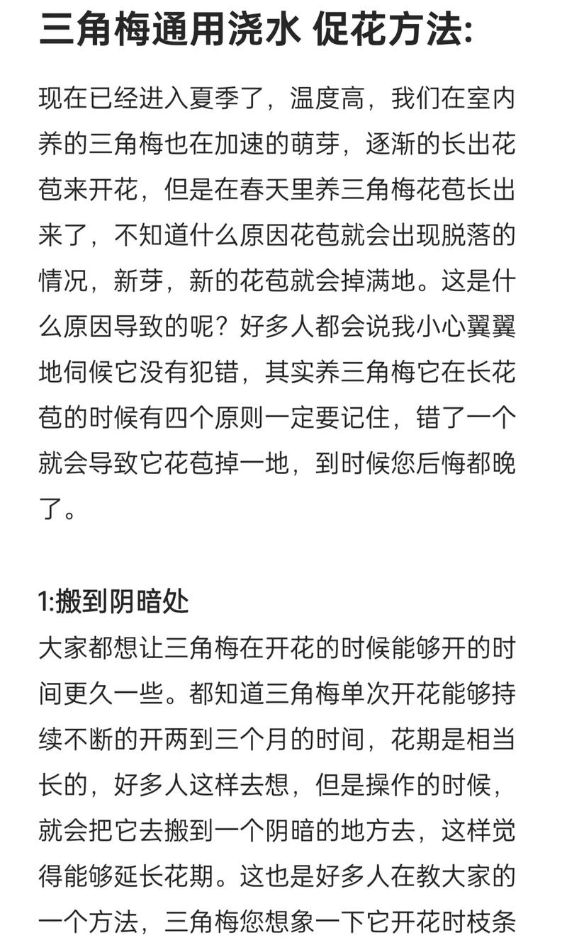 三角梅浇水要浇透吗？三角梅浇水要浇透吗？-第2张图片-优品飞百科