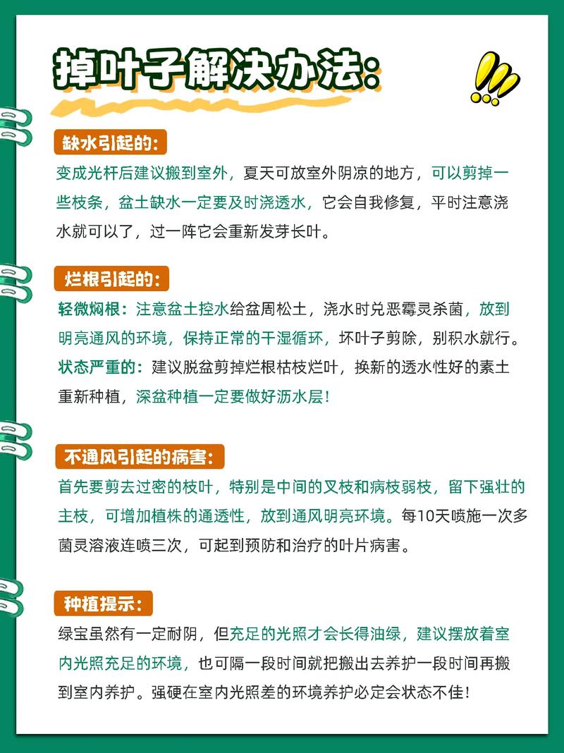 绿宝树冬天怎么养，绿宝树冬天可以剪枝吗-第2张图片-优品飞百科