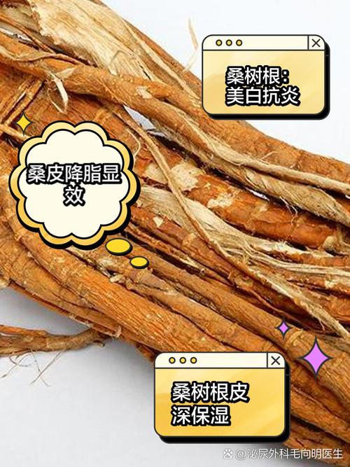 桑树扦插时间,桑树扦插时间是几月份-第2张图片-优品飞百科 桑树扦插时间,桑树扦插时间是几月份-第2张图片-优品飞百科