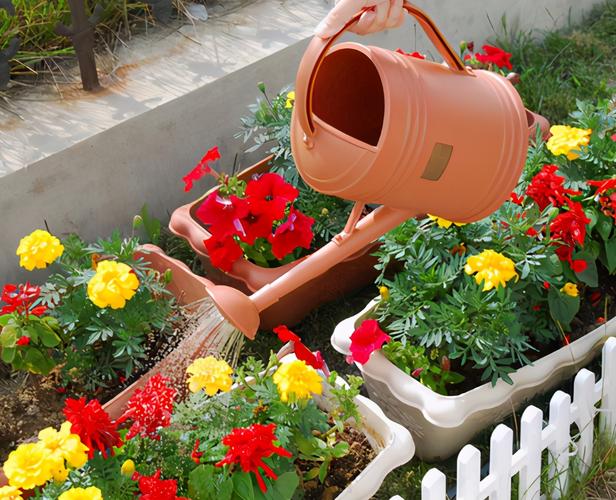 飞龙浇水方法?飞龙吸水图片?-第4张图片-优品飞百科 飞龙浇水方法?飞龙吸水图片?-第4张图片-优品飞百科