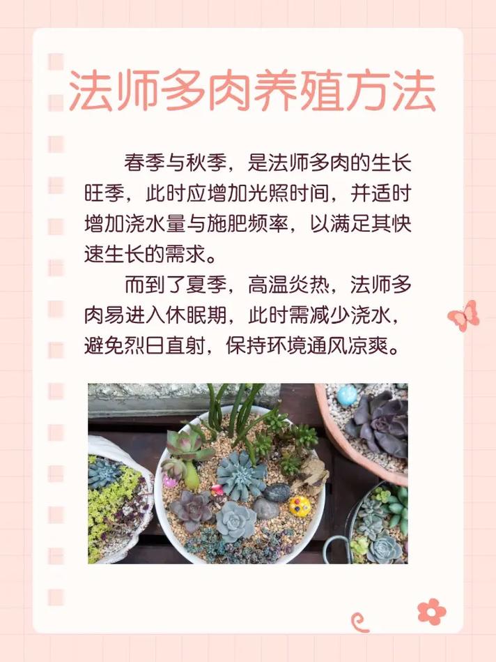 黑法师的养殖方法?黑法师的养殖方法和注意事项 盆栽?-第3张图片-优品飞百科 黑法师的养殖方法?黑法师的养殖方法和注意事项 盆栽?-第3张图片-优品飞百科