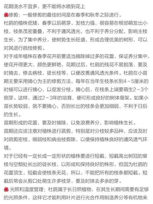 杜鹃花怎么施肥，杜鹃花怎么施肥浇水？-第5张图片-优品飞百科