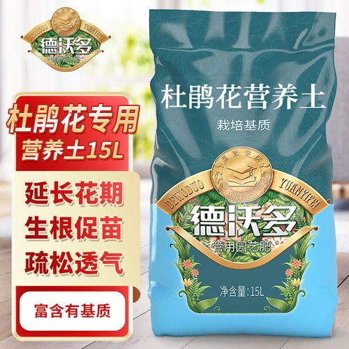 杜鹃花怎么施肥，杜鹃花怎么施肥浇水？-第6张图片-优品飞百科