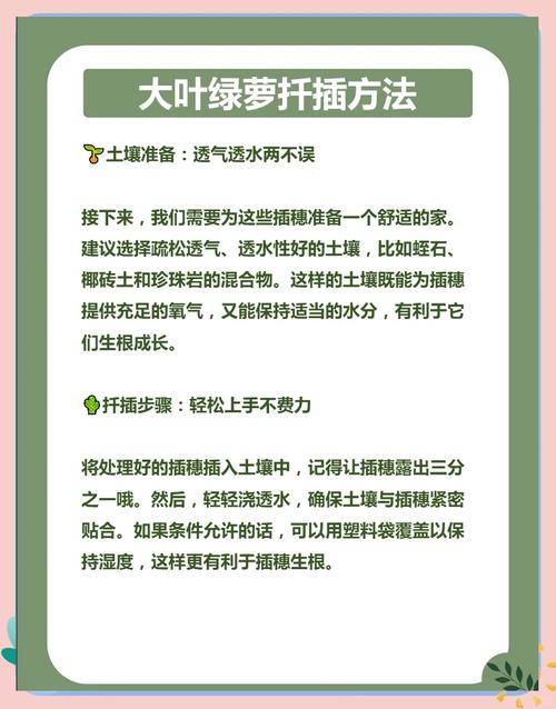 绿萝如何扦插繁殖？绿萝如何扦插繁殖快？