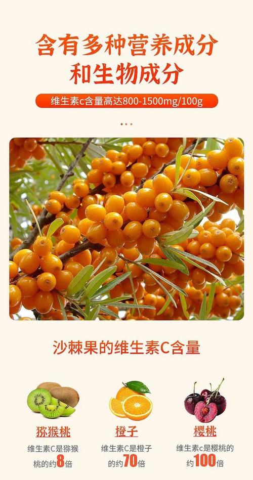 沙棘怎么种植，沙棘怎么种植最合适？-第5张图片-优品飞百科