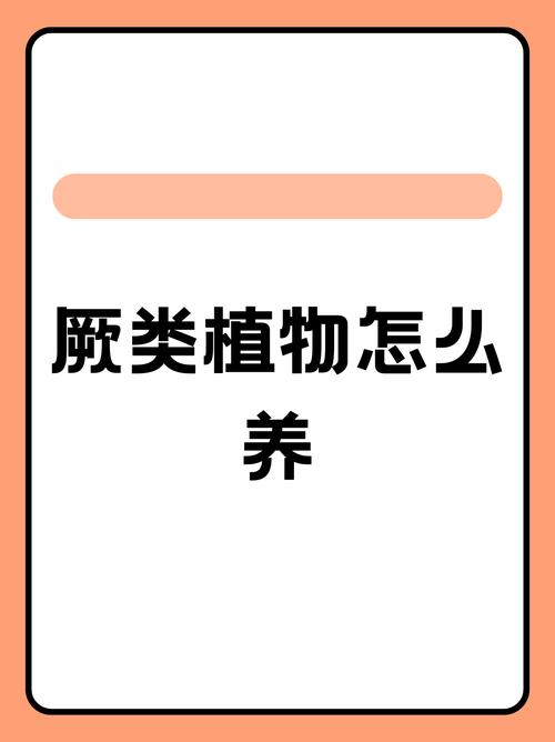 蕨类植物夏天怎么养？蕨类植物怎样种植？-第5张图片-优品飞百科