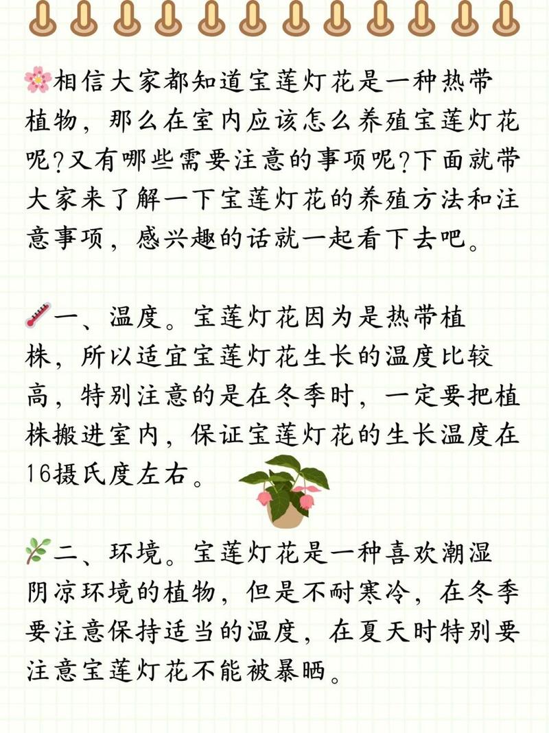 宝莲灯的养殖方法和注意事项？宝莲灯的养殖方法和注意事项 盆栽蝴蝶兰的繁殖方法？-第2张图片-优品飞百科
