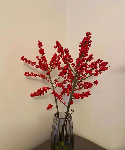 北美冬青插花怎么养,北美冬青扦插栽培技术?-第4张图片-优品飞百科 北美冬青插花怎么养,北美冬青扦插栽培技术?-第4张图片-优品飞百科