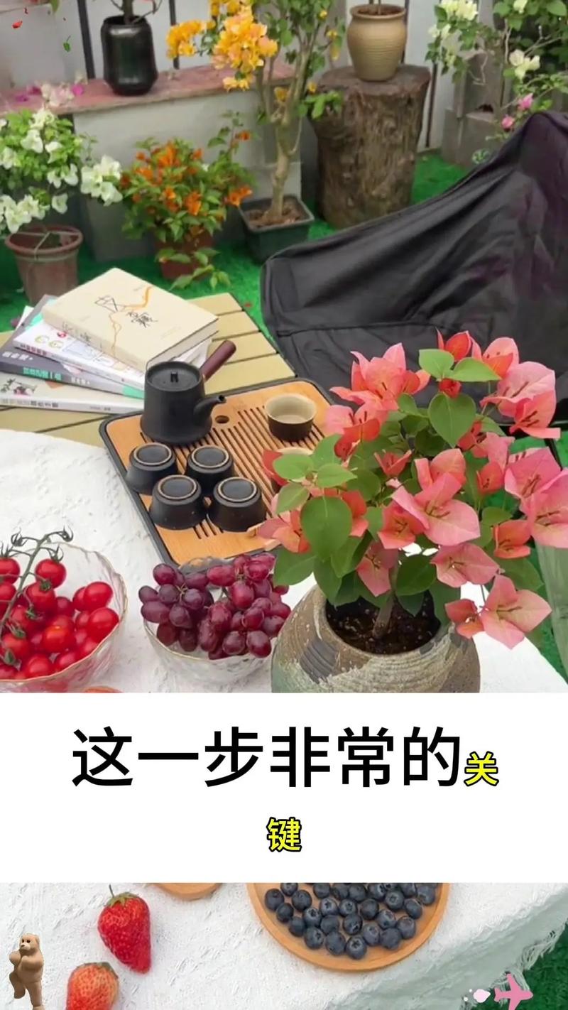 三角梅老桩促发芽方法，三角梅老桩怎么发芽？-第7张图片-优品飞百科