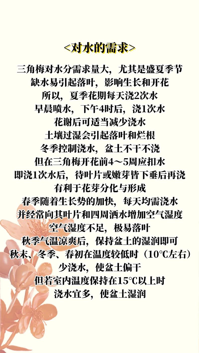 三角梅怎么养？三角梅怎么养家庭养法？-第8张图片-优品飞百科