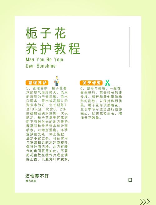 栀子花怎么浇水，栀子花怎么浇水才合理-第5张图片-优品飞百科